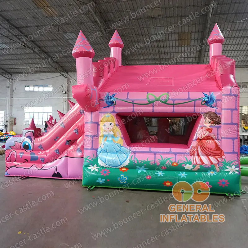    Princess castle with slide