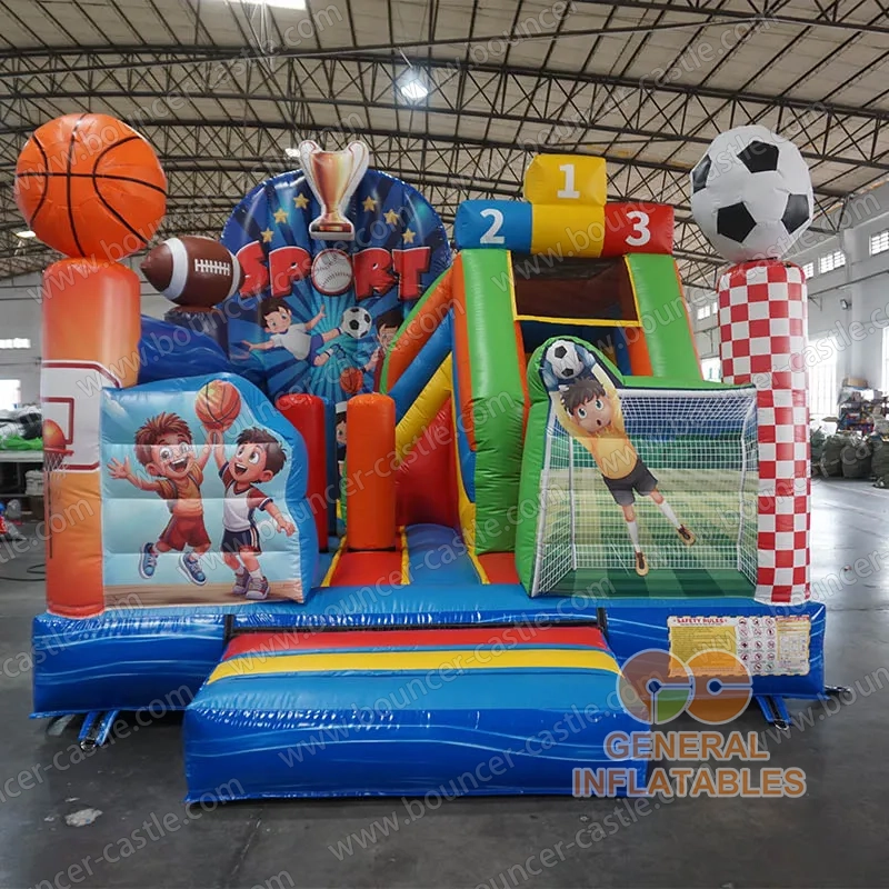 Sports Balls combo