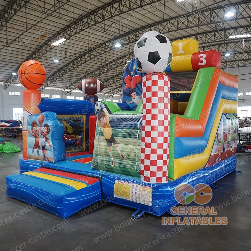 Sports Balls combo
