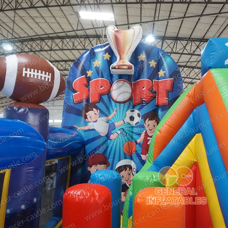 Sports Balls combo