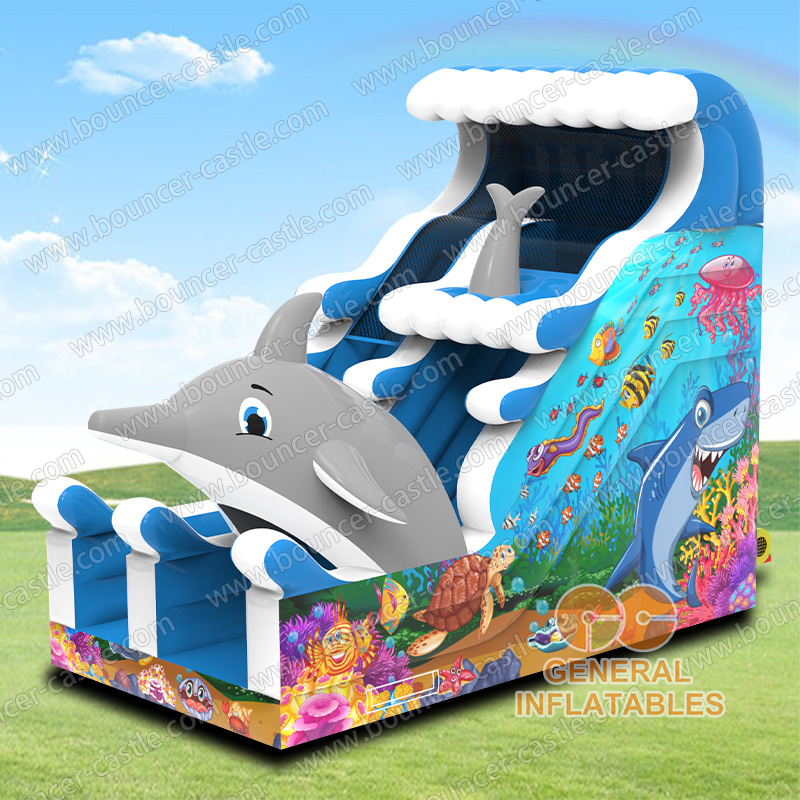 Dolphin slide