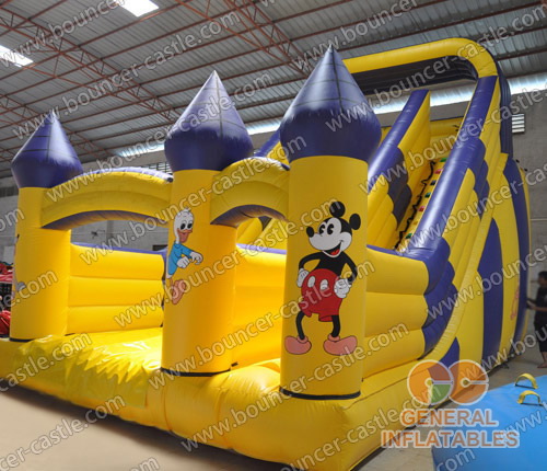 GS-169 inflatable slides