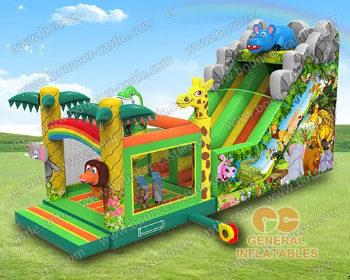   Jungle slide1