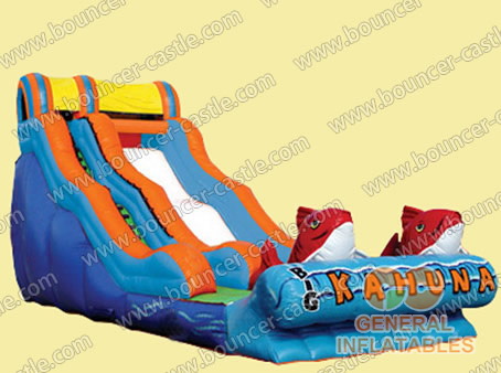 GS-78 Double fish slide