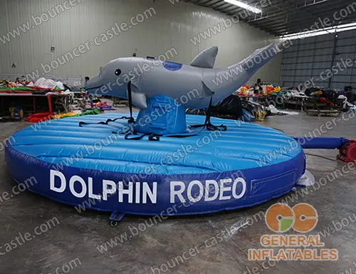  Dophin riding