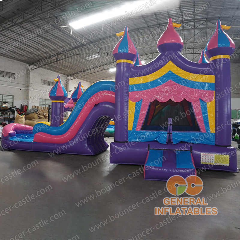Princess castle wet dry combo