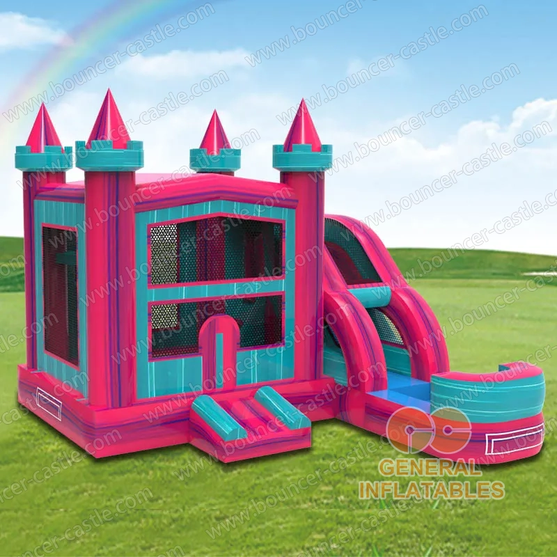 Inflatable Castle Combo Wet/Dry