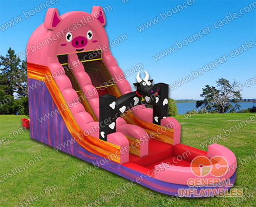 GWS-10 Farm water slide