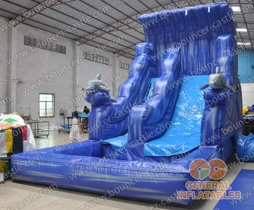  Dophin water slide with pool