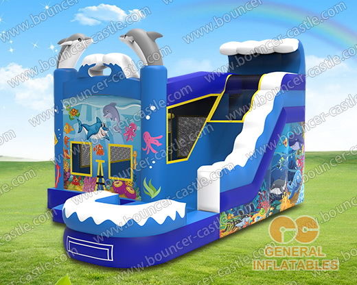 GWS-213 dolphin water combo