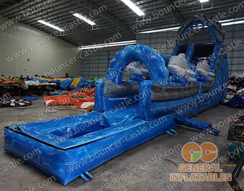  Dophin water slide