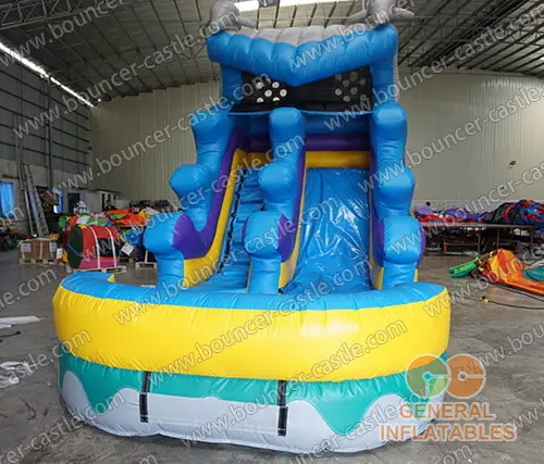   Dolphin water slide