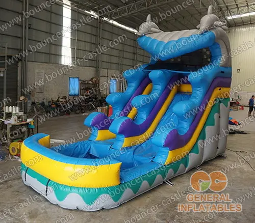   Dolphin water slide