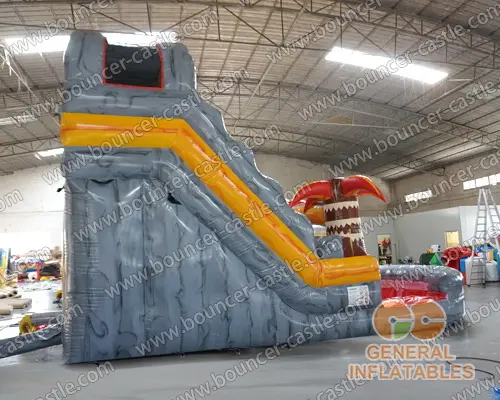  Inflatable water slide