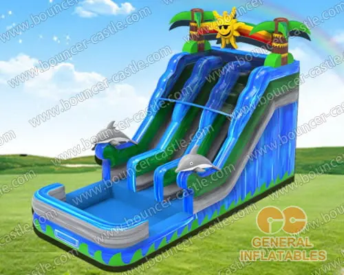  Sunshine Dolphin dual water slide