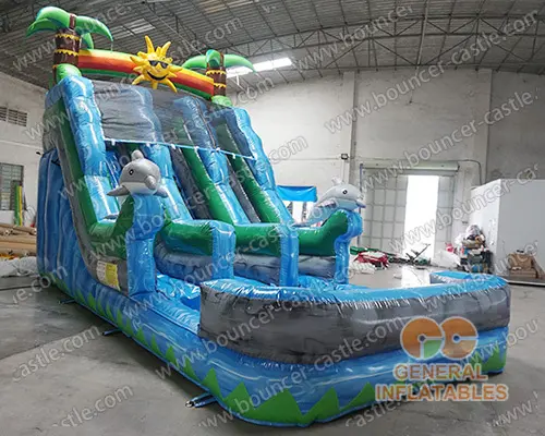  Sunshine Dolphin dual water slide