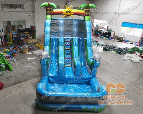  Sunshine Dolphin dual water slide