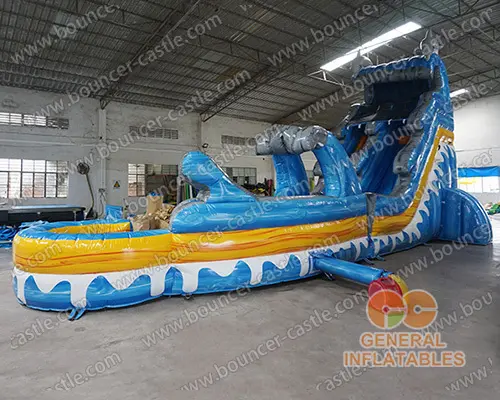  Dolphin wave water slide n slip