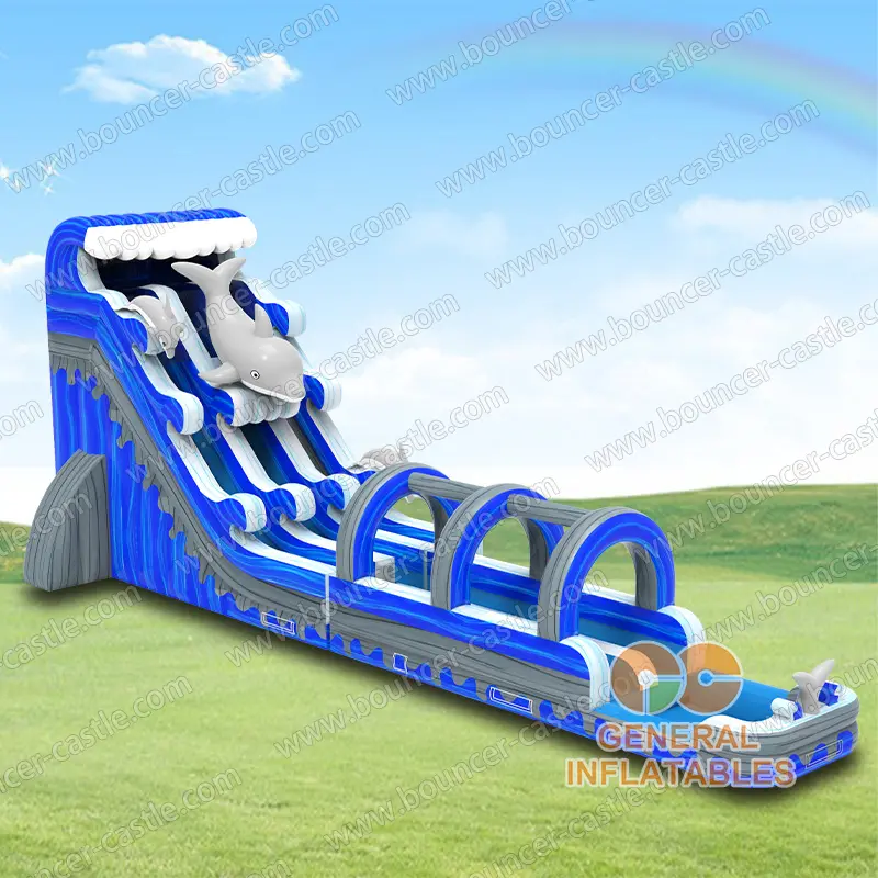 24FT Dolphin dual water slide