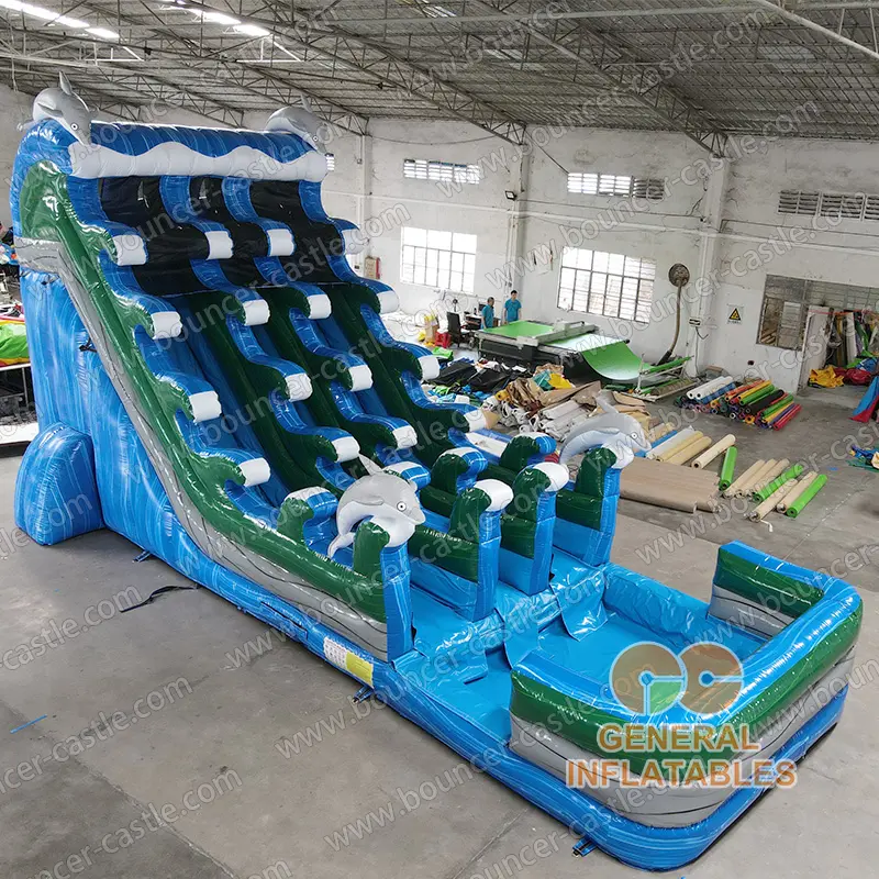 Dolphin water slide dual lane