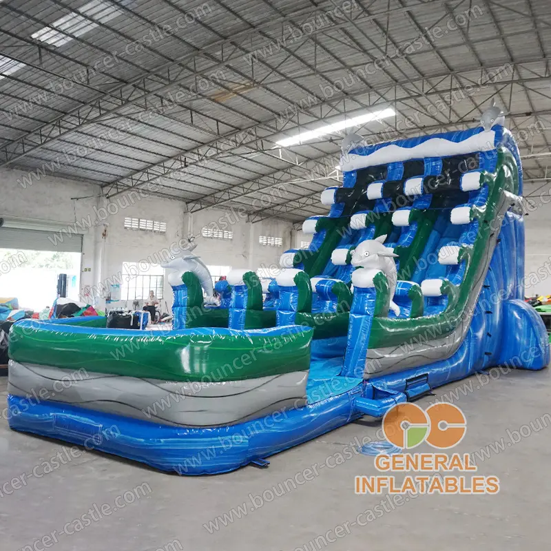 Dolphin water slide dual lane