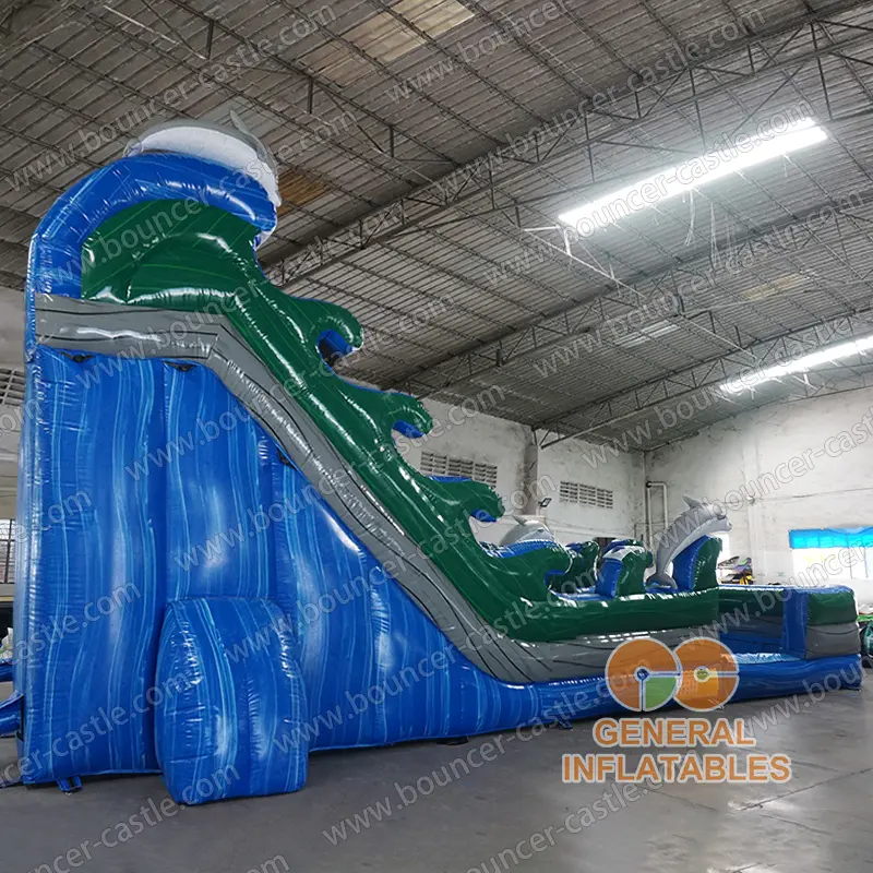 Dolphin water slide dual lane