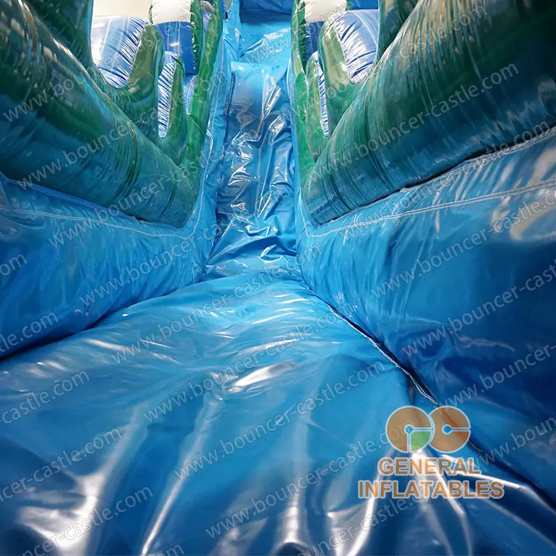 Dolphin water slide dual lane