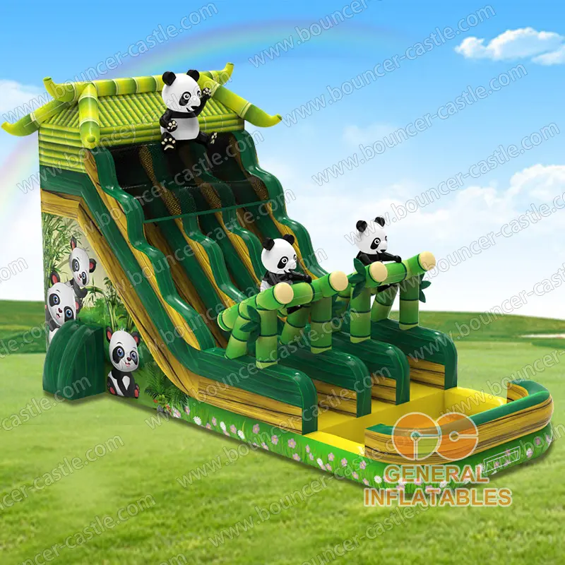 Panda water slide dual lane