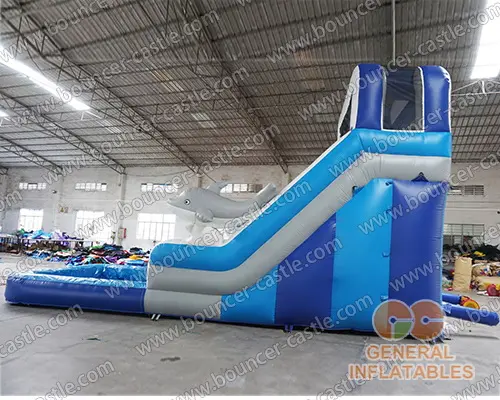  Dolphin dual water slide