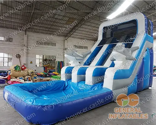  Dolphin dual water slide