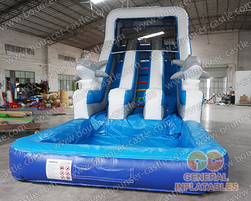  Dolphin dual water slide