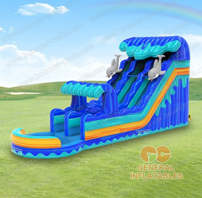 Dolphin Water Slide
