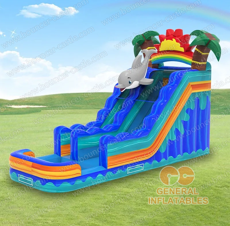 Dolphin Water Slide