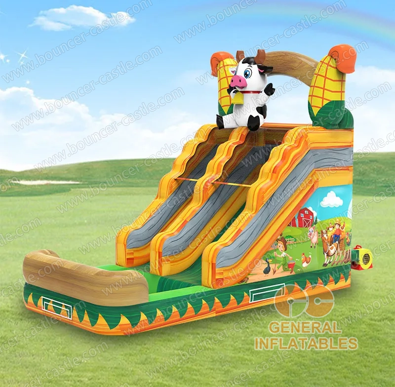 Farm Water Slide