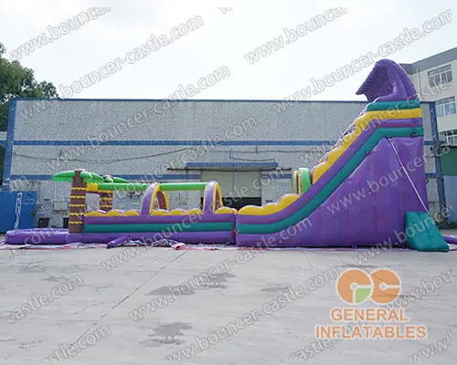  Purple giant water slide