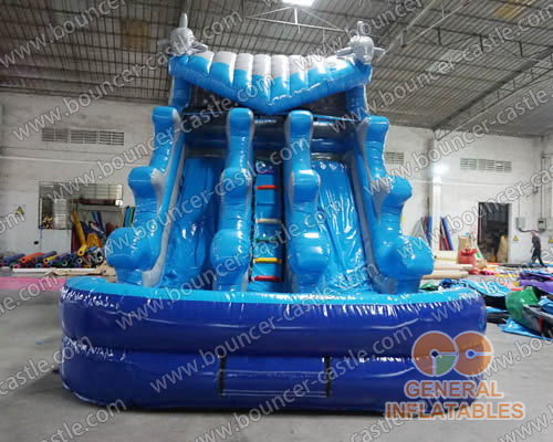  Dolphin wave water slide
